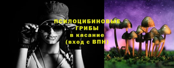 СК Нея