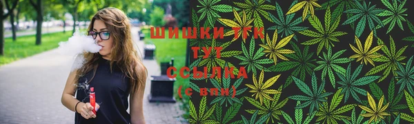 Альфа ПВП Новозыбков