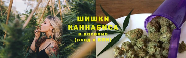 Альфа ПВП Новозыбков