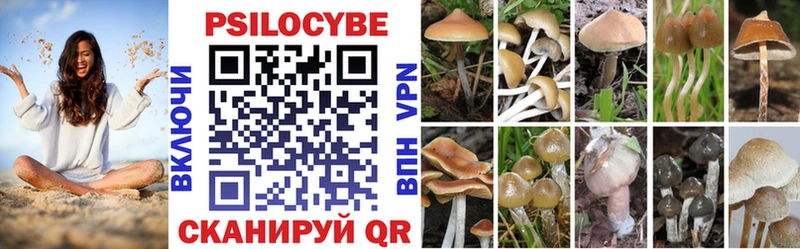Псилоцибиновые грибы GOLDEN TEACHER Новая Ляля