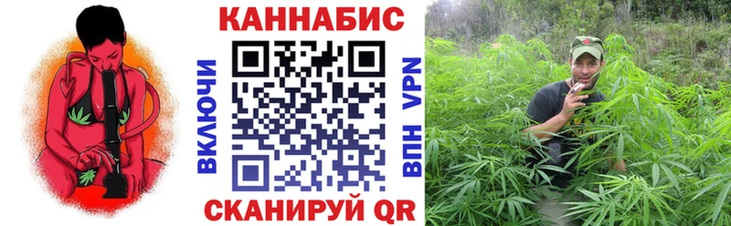 Шишки марихуана Amnesia  Новая Ляля 